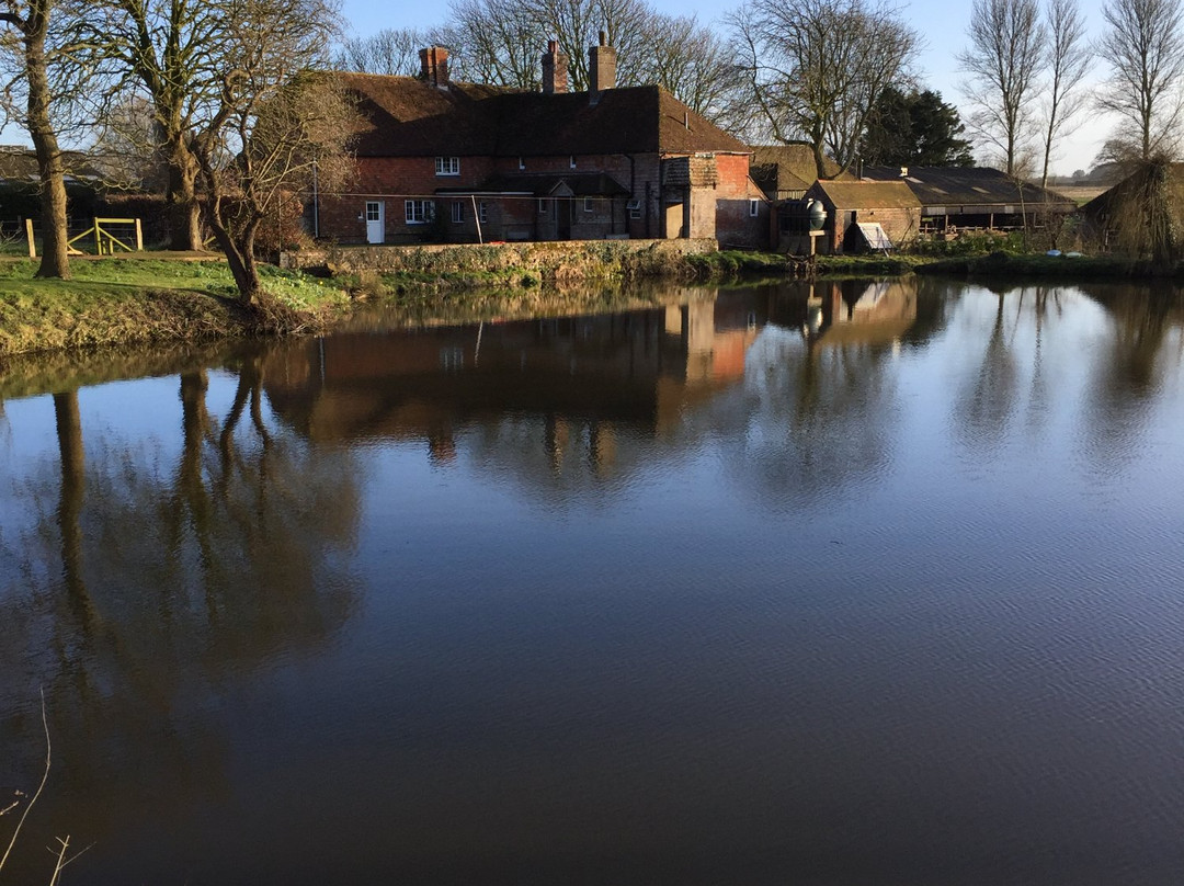 Lower Claverham Farm B&B主图