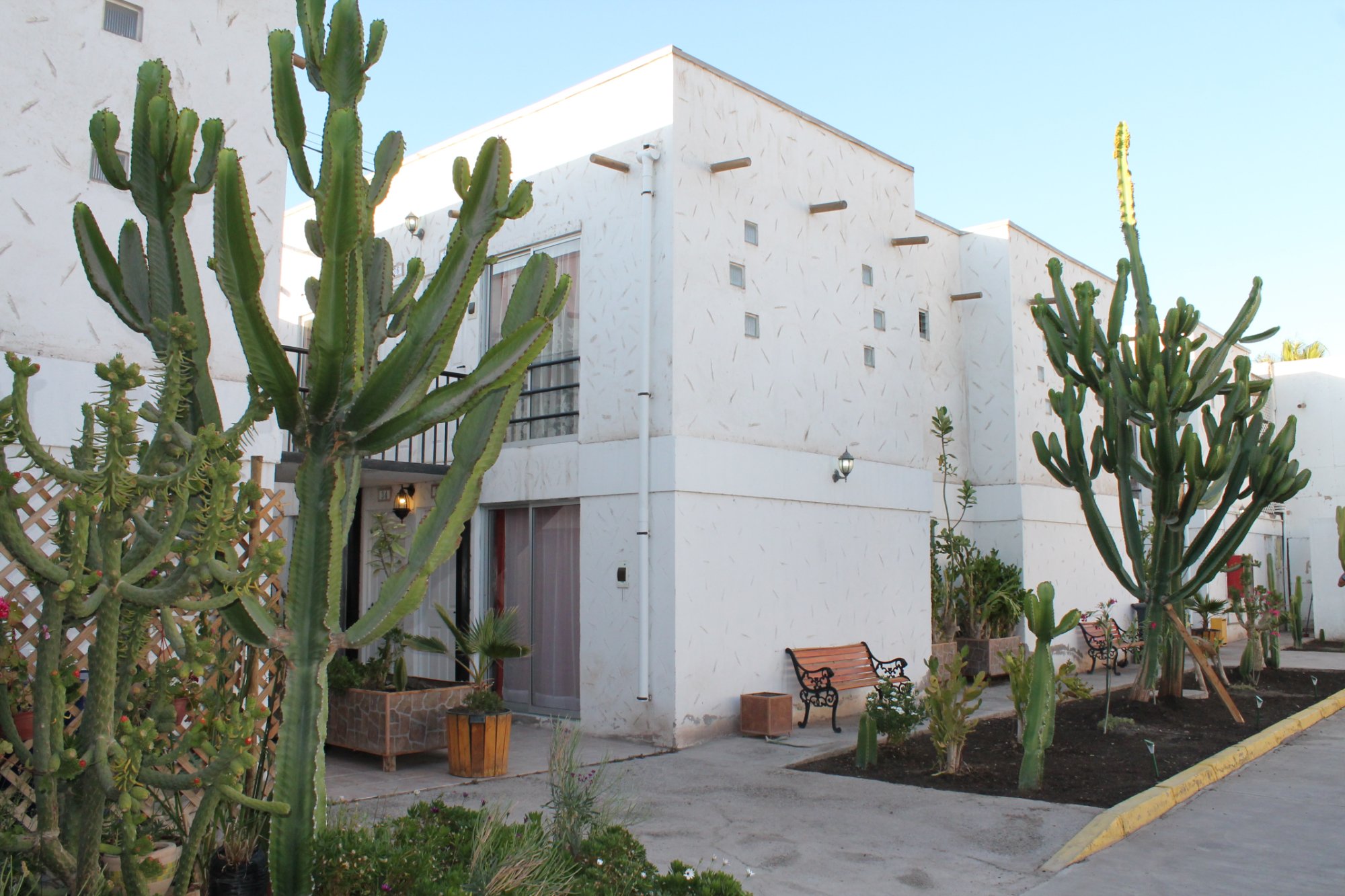 Hotel Jardines de Atacama-浴室