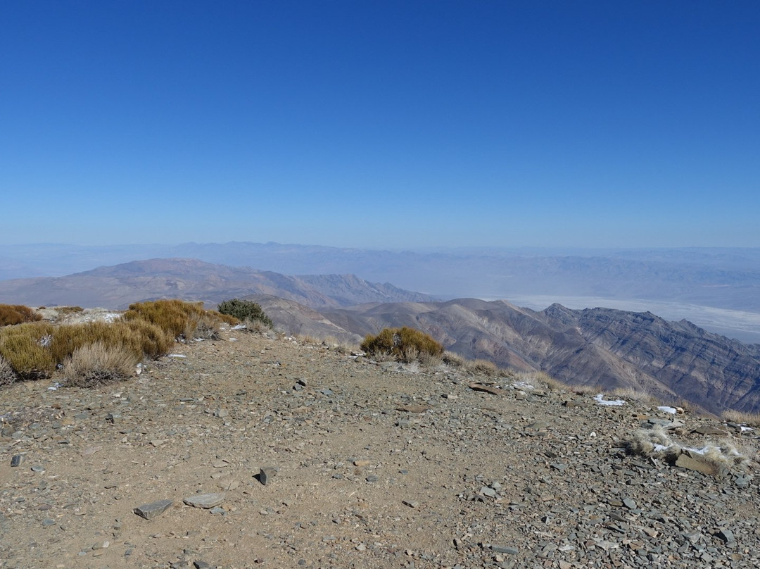 Wildrose Peak Trail-死亡谷国家公园必去景点