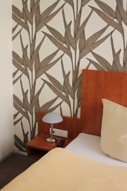 Hotel Schwarzer Adler主图