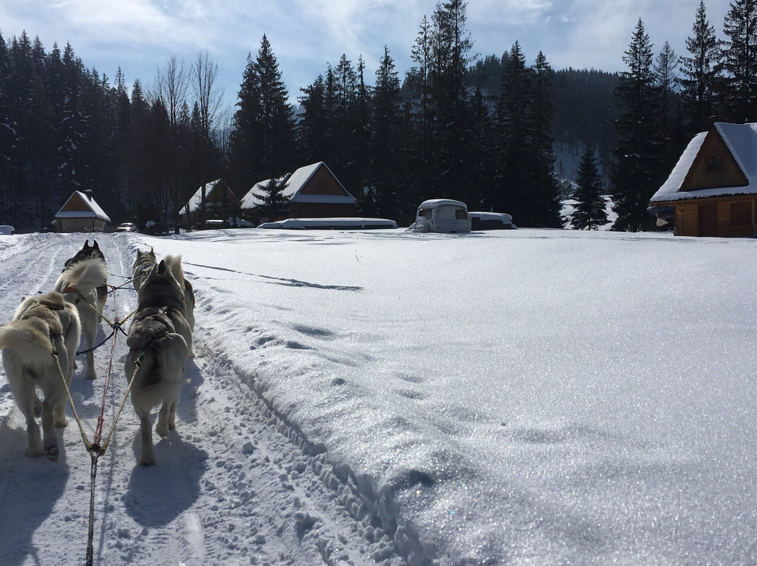 Fundog Husky Sleigh Rides景点图片