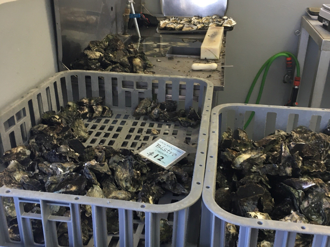 Cole Bros Oysters景点图片