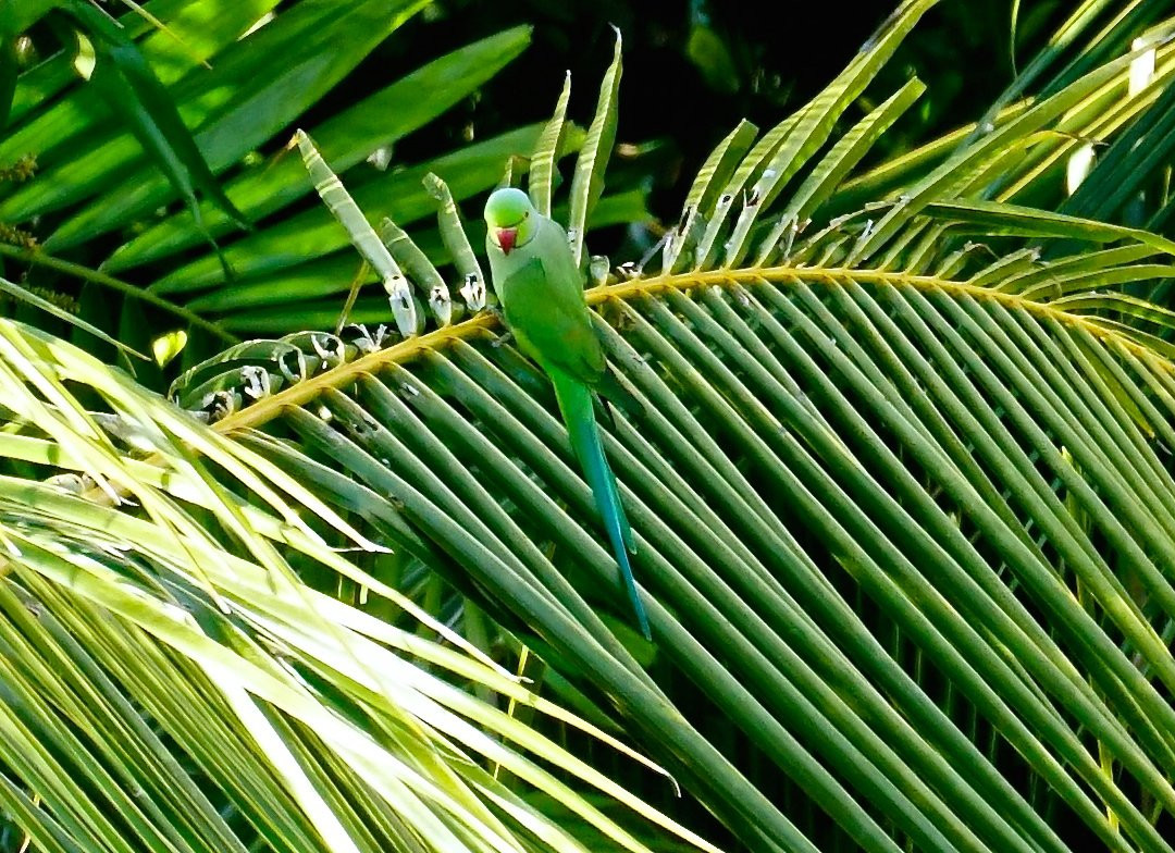 Anarva Mount Lavinia Hotel & Spa主图