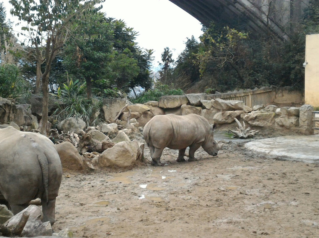 温州市动物园-温州市必去景点