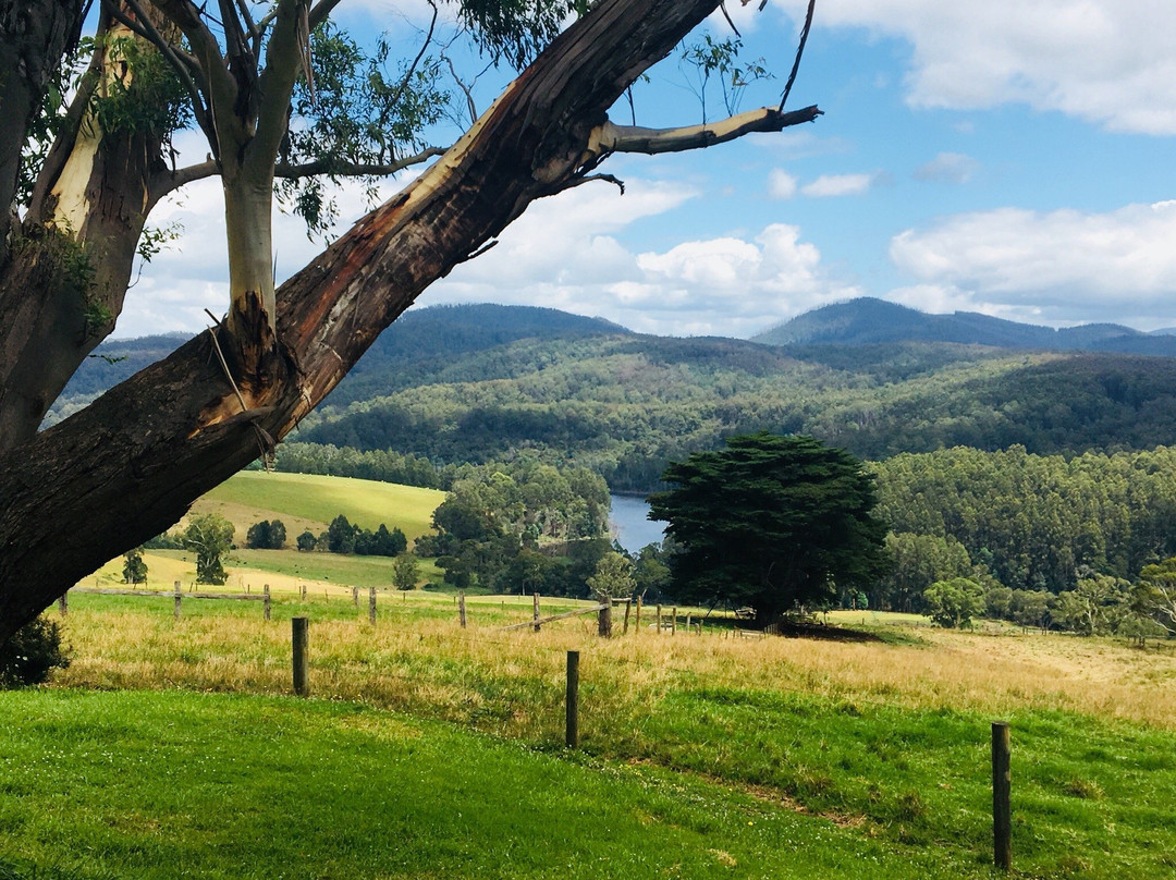 Little Charli's Lookout-Neerim South必去景点