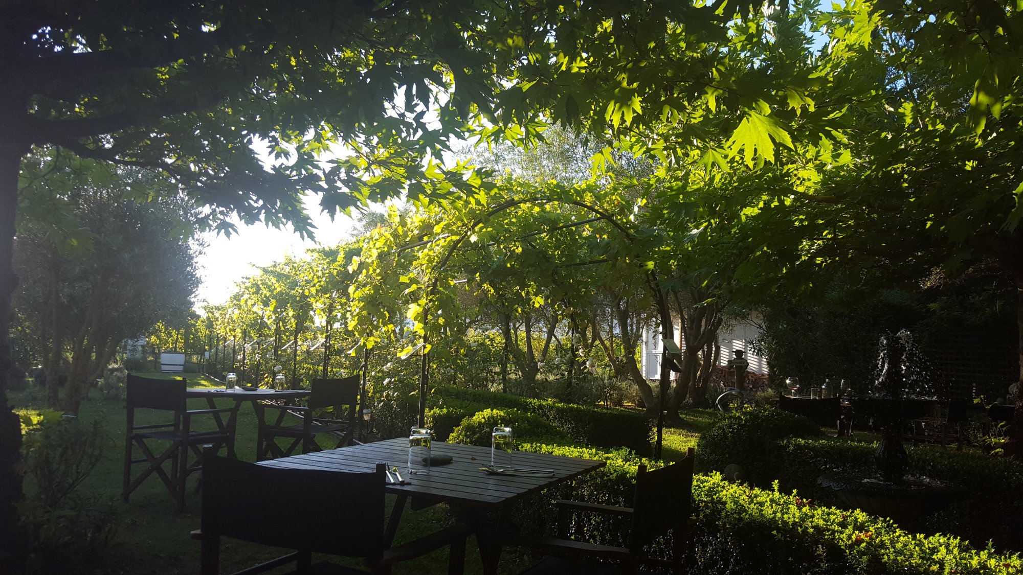 Mulberry House Bed and Breakfast-酒店景观