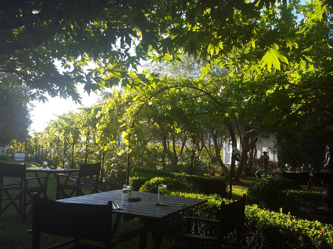 Grovetown酒店住宿-Mulberry House Bed and Breakfast