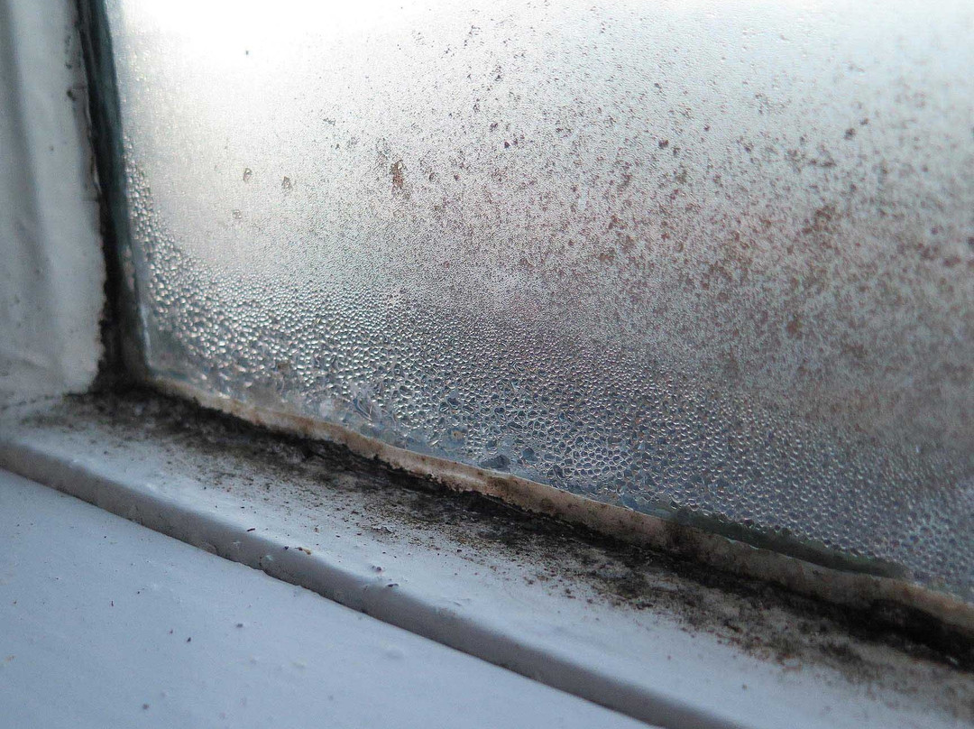 Himley House Hotel主图