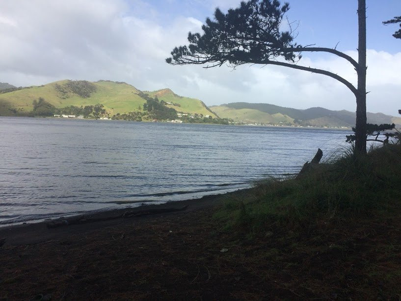 Waiuku Forst-奥克兰中心地区必去景点