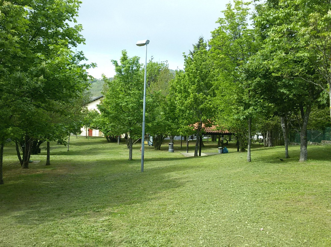 Area Sgambamento Cani Lucia Vaioli景点图片