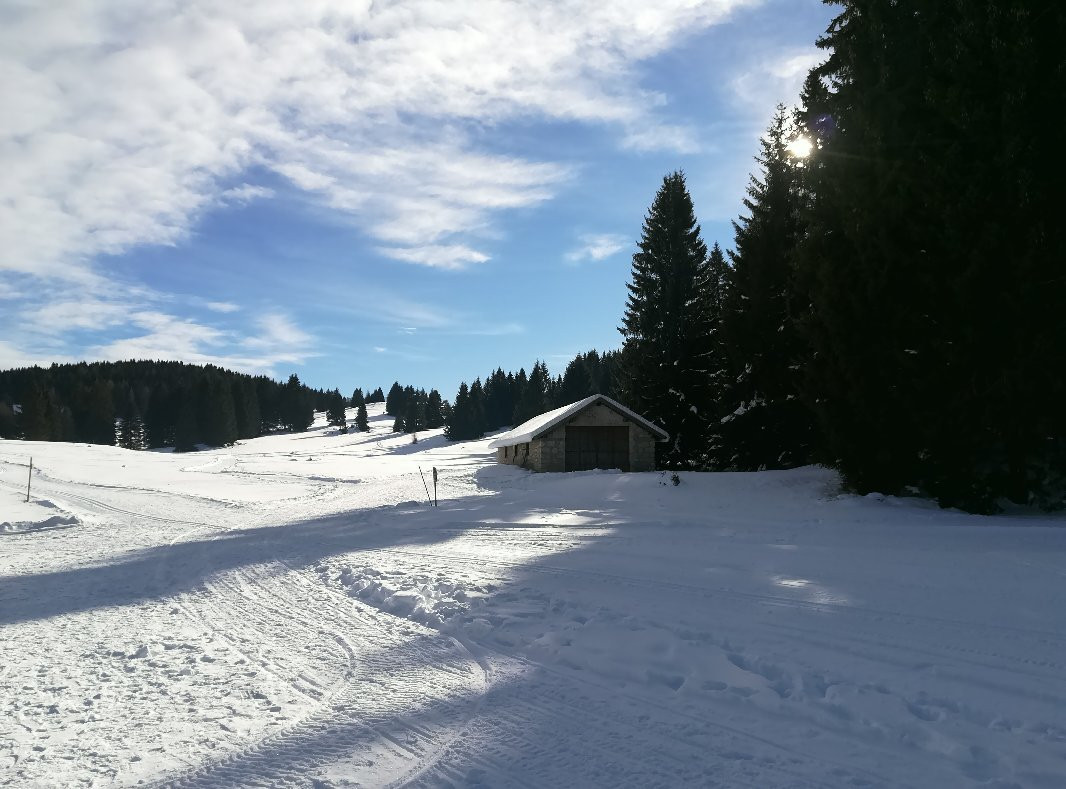 Scuola Sleddog Federale Nazionale-Lavarone必去景点