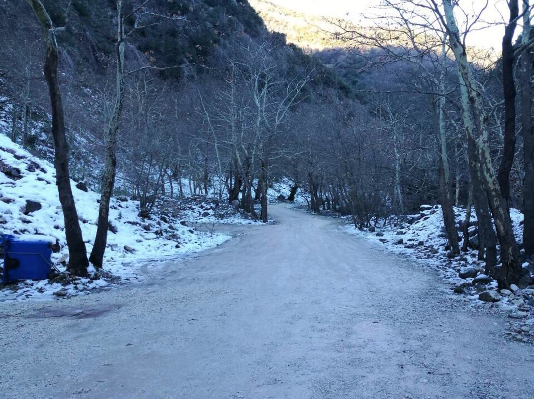 Dristela Resort主图