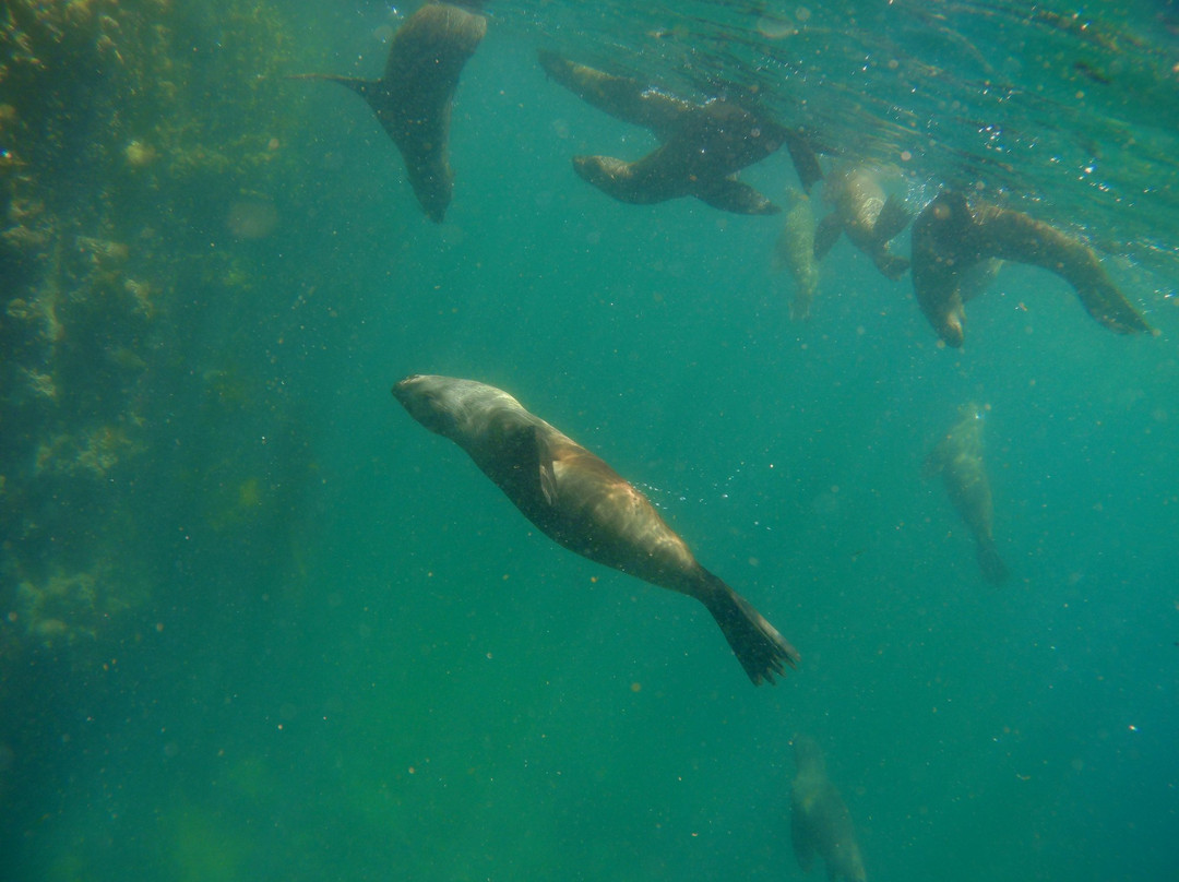 Shark Warrior Adventures-西门镇必去景点