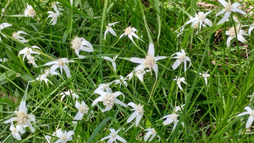 Louise Hays Park-克尔维尔必去景点
