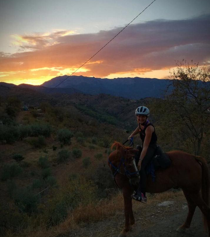 Malaga Horse Trails景点图片