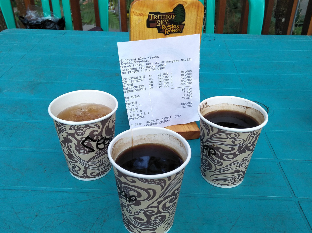 Kopeng Treetop Adventure Park-沙拉迪加必去景点