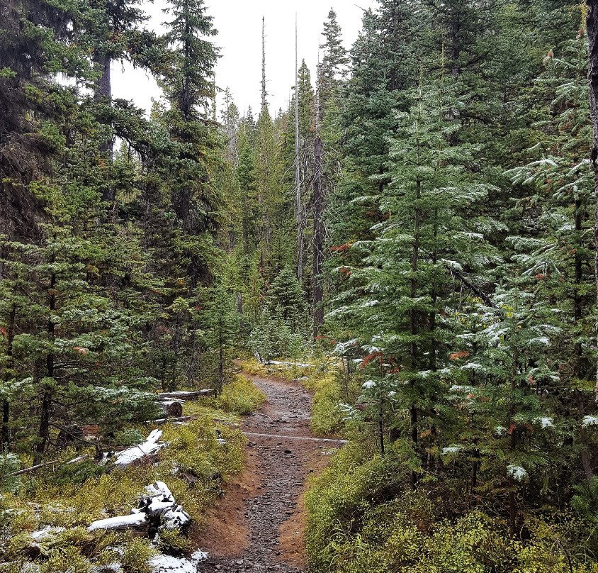 Malheur National Forest景点图片