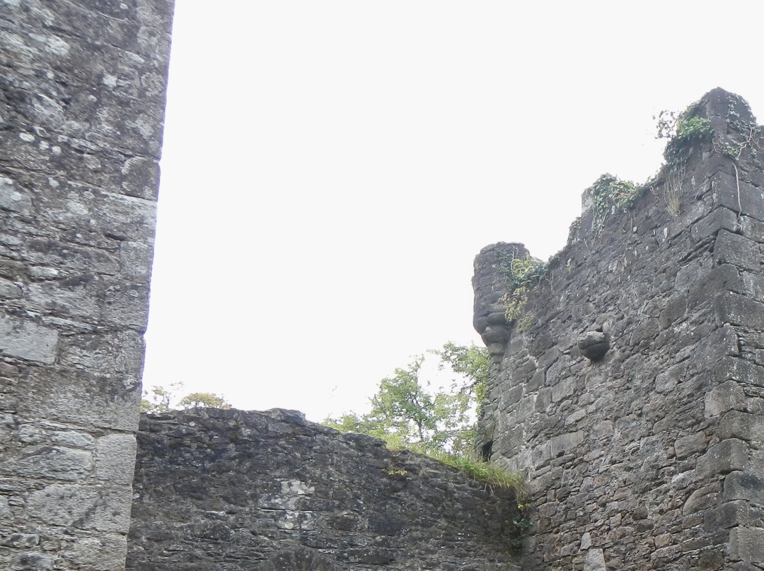 Carey's Castle-Clonmel必去景点