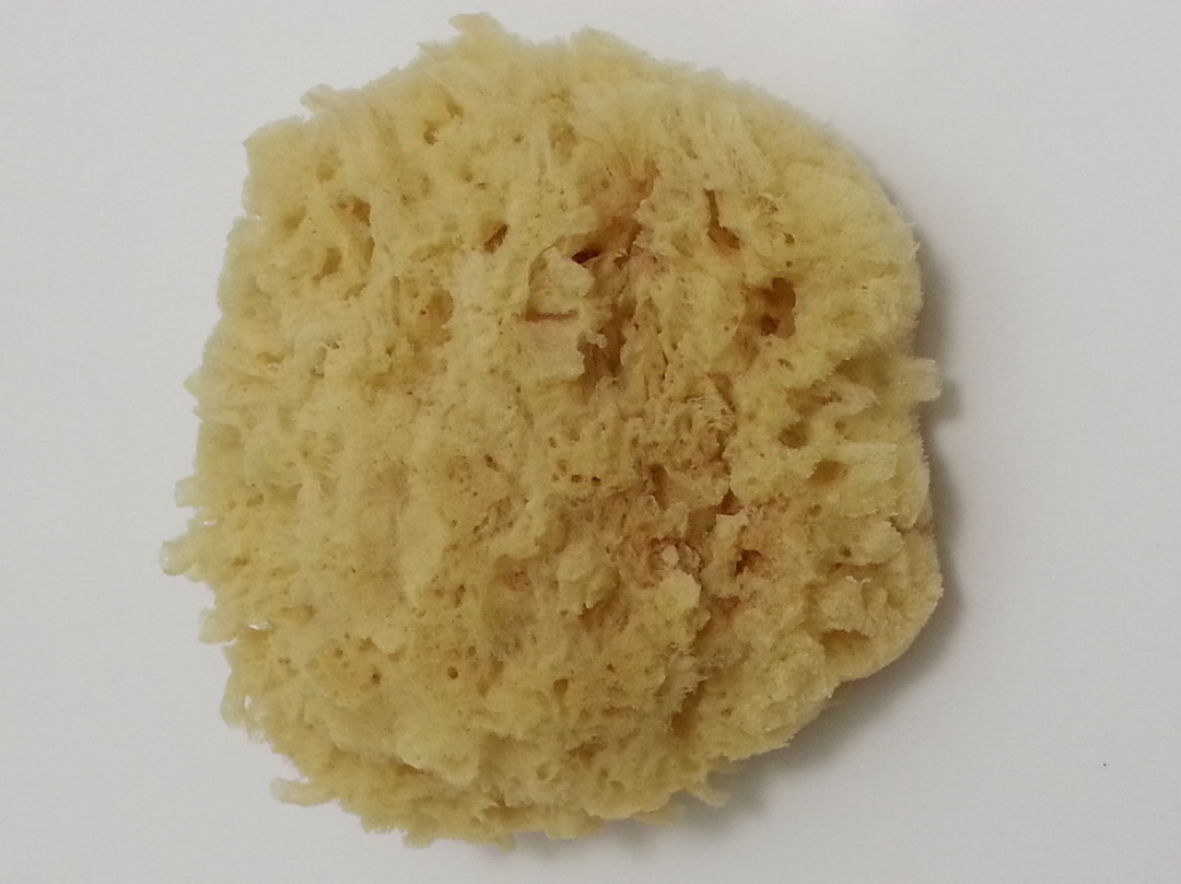 Factory of Natural Sponges-Pothia必去景点