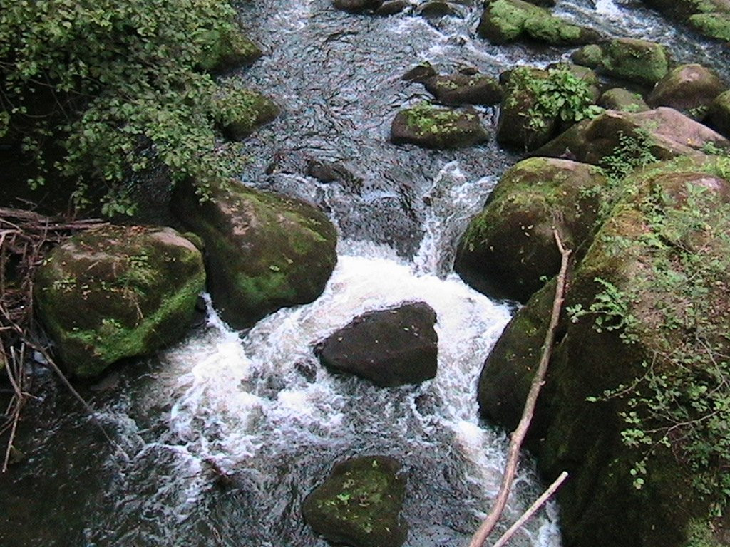 Irreler Wasserfalle-Irrel必去景点