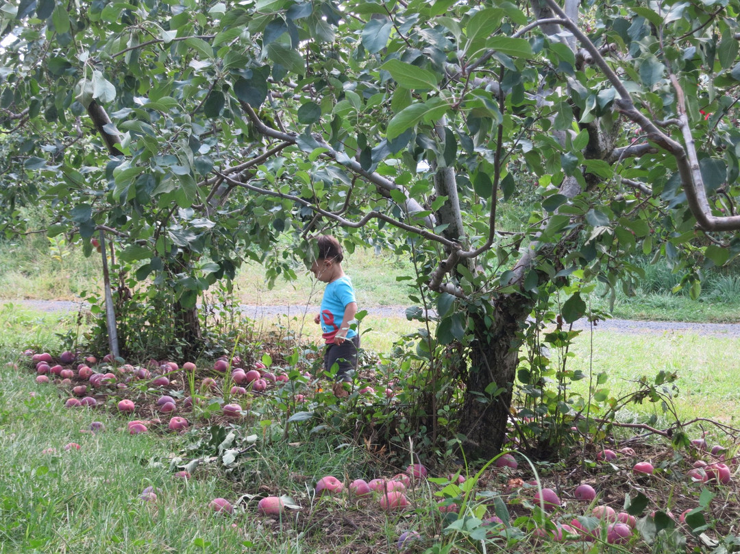 Gotta's Farm and Cider Mill-Portland必去景点