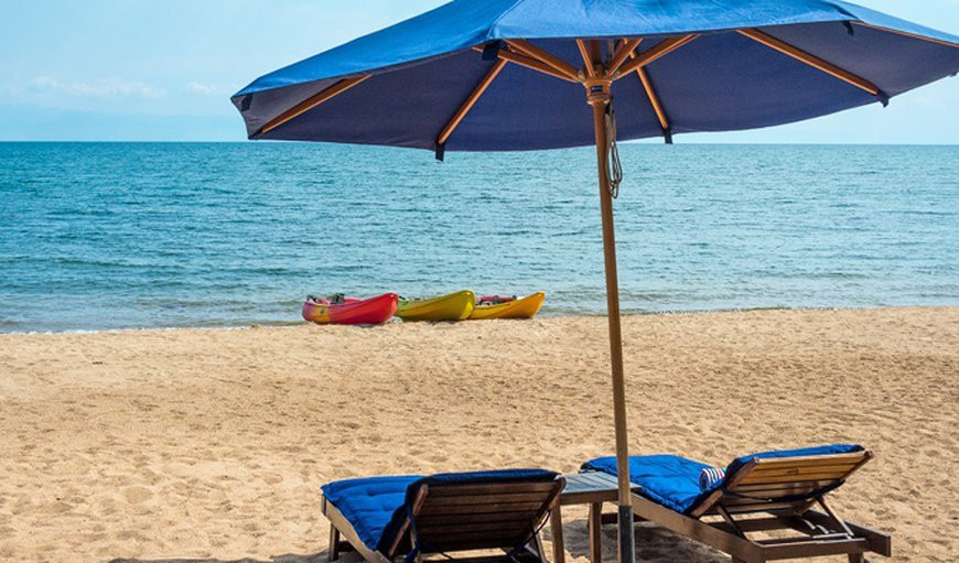 Cruise Malawi - Day Adventures-Liwonde National Park必去景点