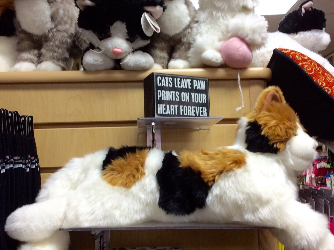 For Bare Feet-埃斯蒂斯公园必去景点