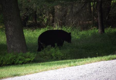 Road Less Traveled Bed & Breakfast主图