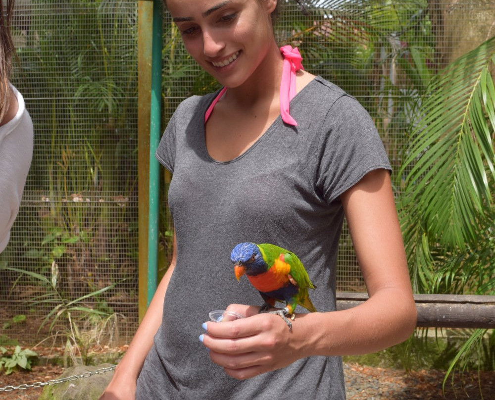 Guadeloupe Advisor-Saint-Claude必去景点