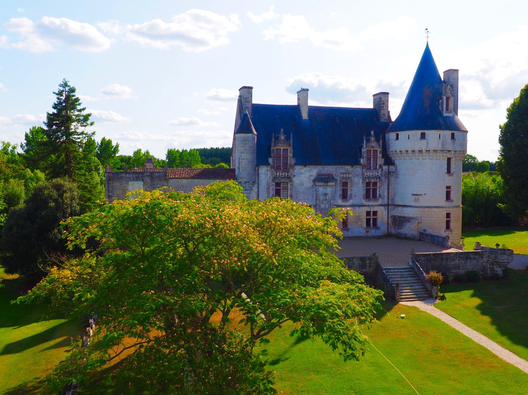Château De Crazannes景点图片