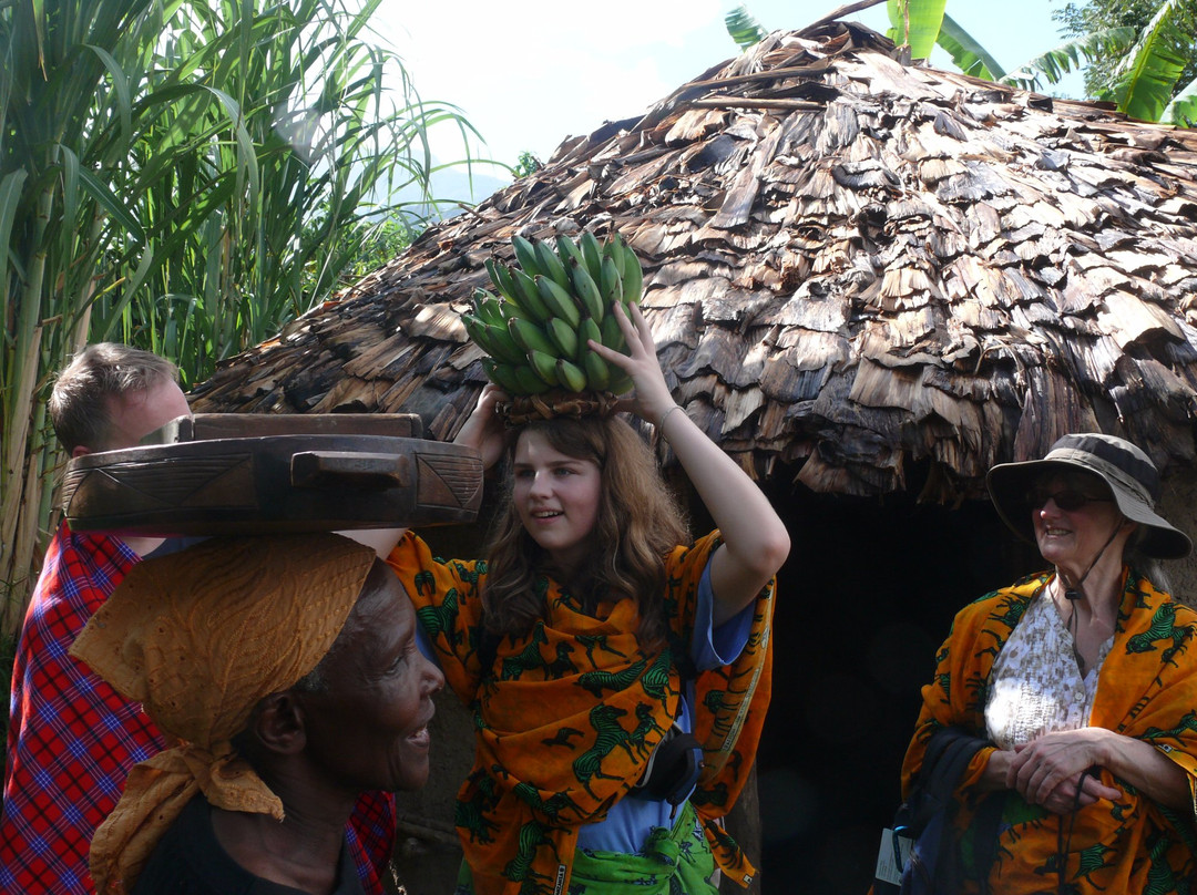 Serengeti Pride-阿鲁沙必去景点