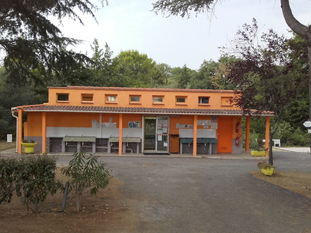 Camping Les Pins le Congo