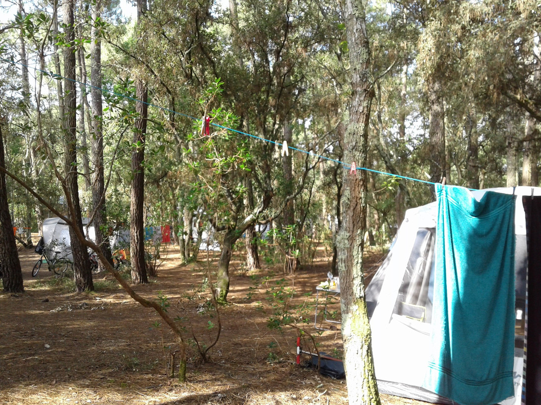 Camping l'Ermitage Nature