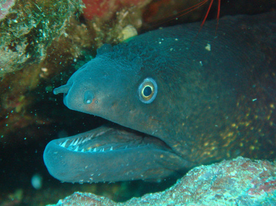 H2O Diving Center-Palamos必去景点