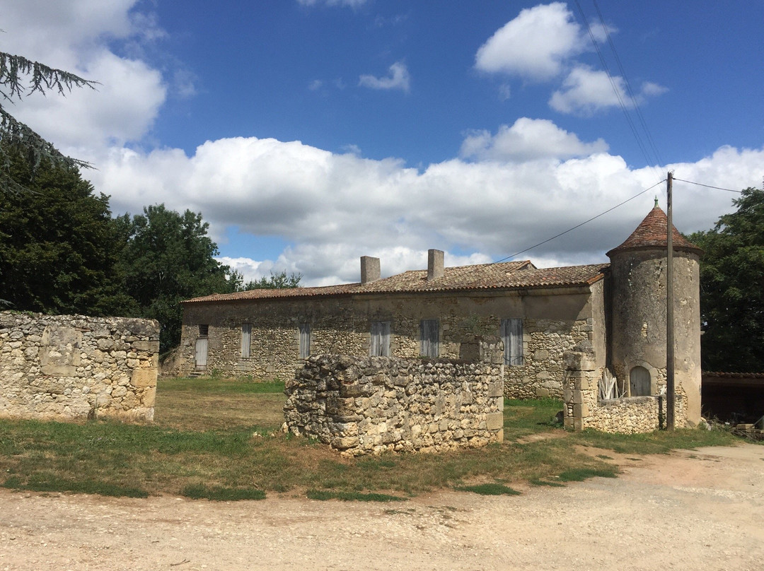 Chateau Font-Vidal景点图片