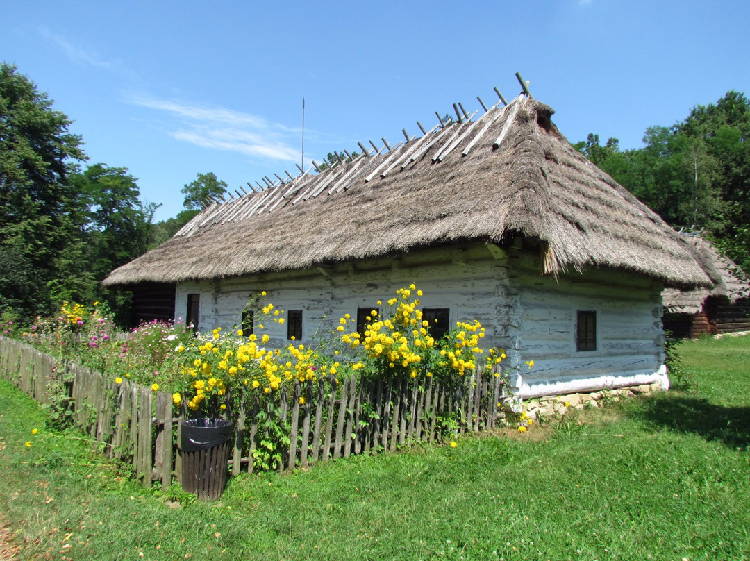 Skansen w Sanoku景点图片