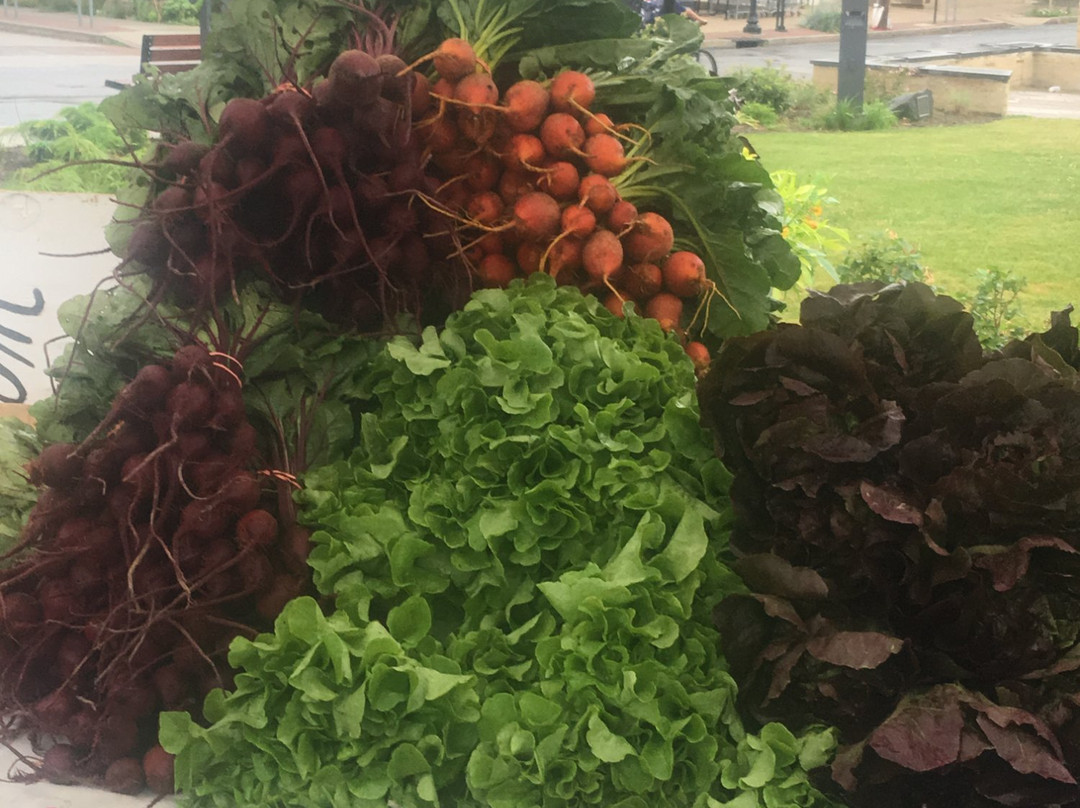 Swarthmore Farmers Market景点图片