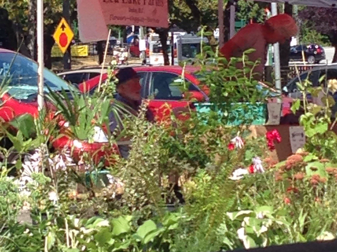 Burnaby Artisan Farmers’ Market-本那比必去景点