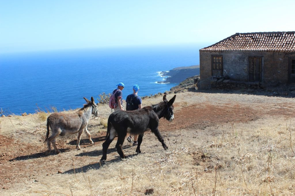 Eselwandern auf La Palma