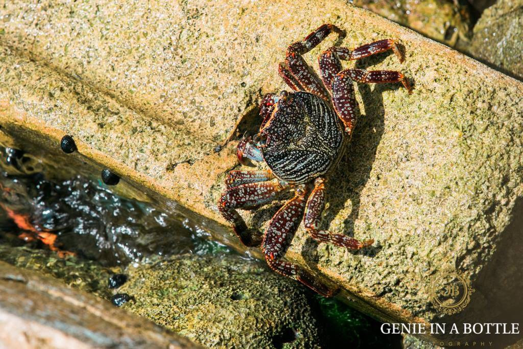 Joyuda-Cabo Rojo必去景点