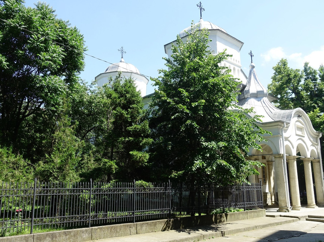 Tirgu Frumos旅游攻略图片