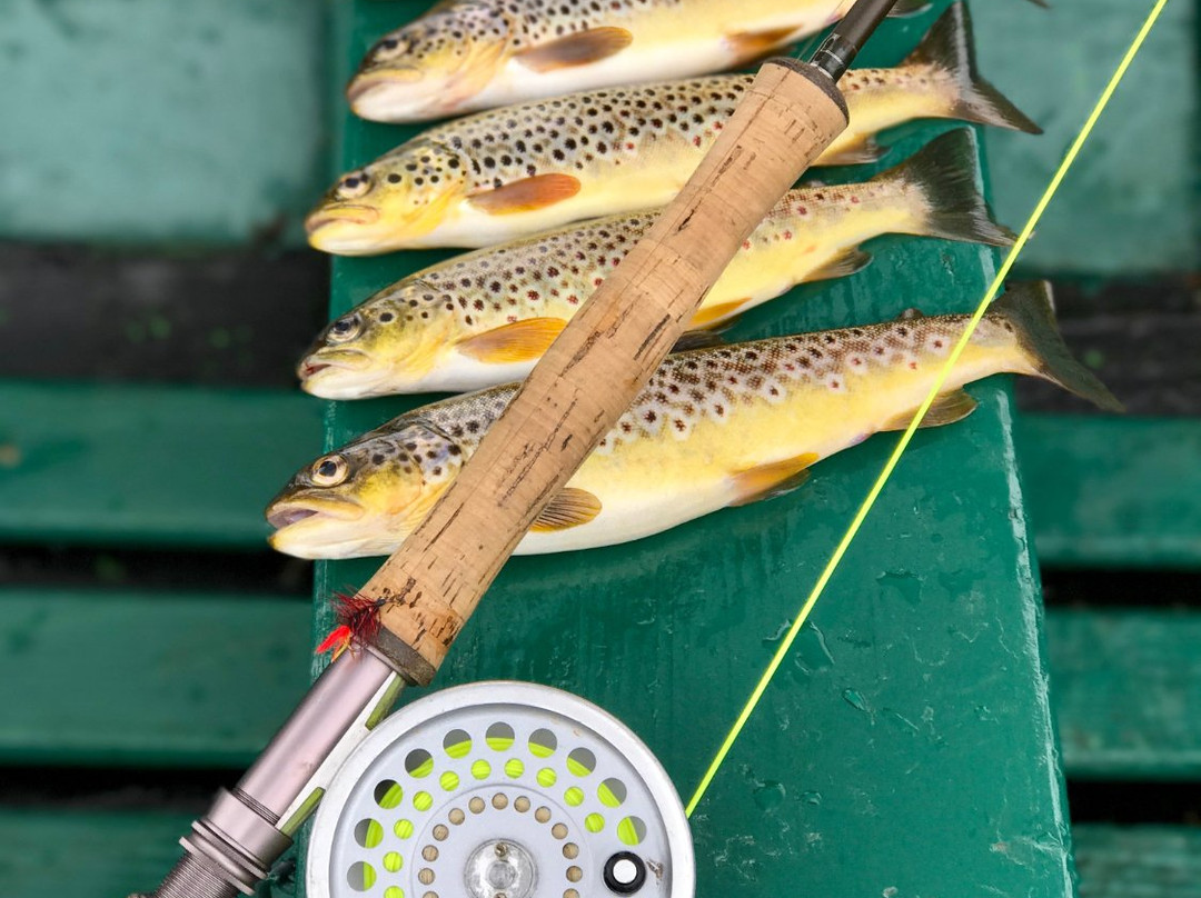 The Scottish Ghillie-因弗内斯必去景点