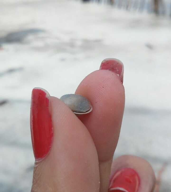 Marieta Beach (Ilha do Marco)-Salinopolis必去景点