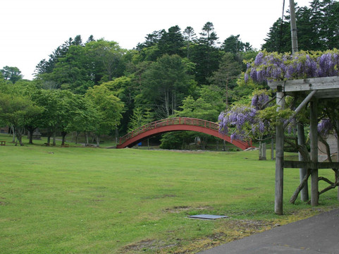 Nenohi Park