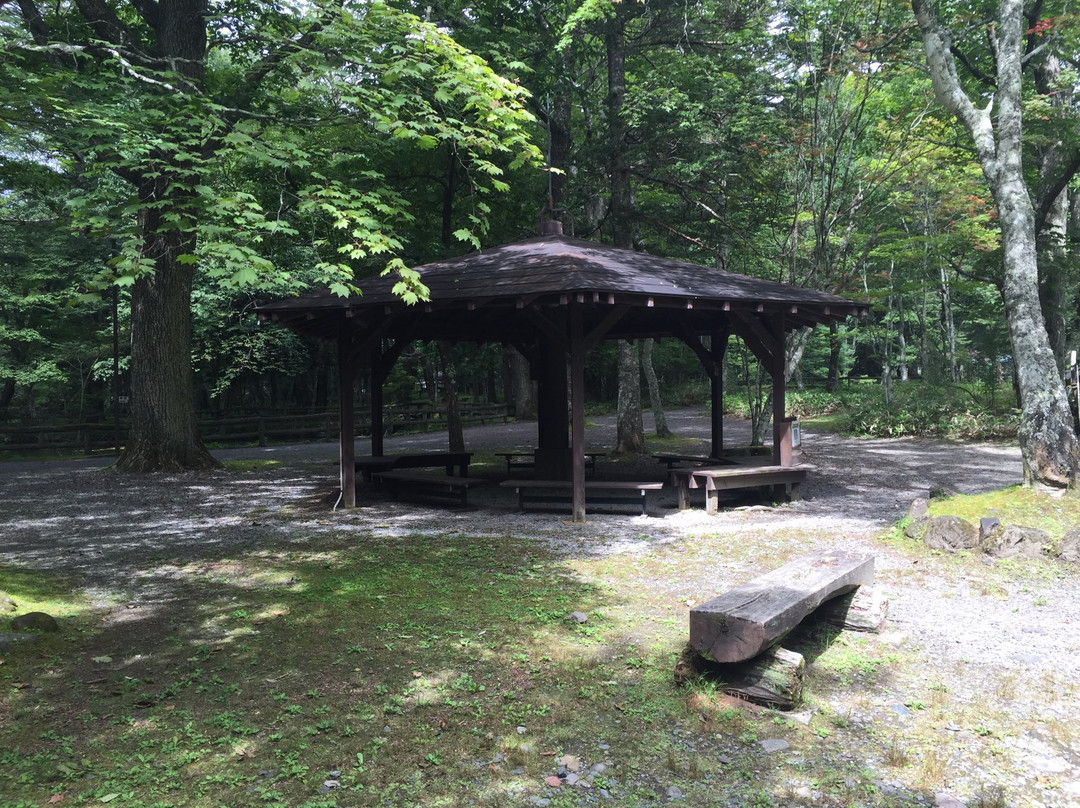 Sakana to Mori no Kansatsuen-日光市必去景点