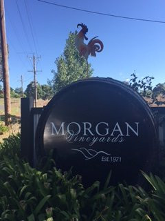 Hoddle Range旅游景点-Morgans Winery & Distillery