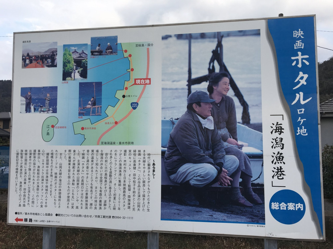 Kaigata Fishing Port-垂水市必去景点