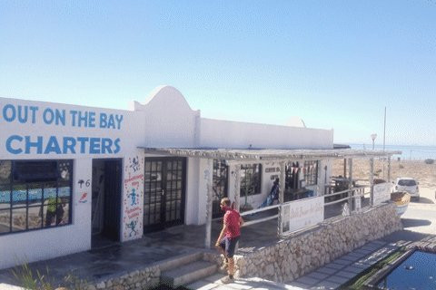Out On The Bay Charters-St. Helena Bay必去景点