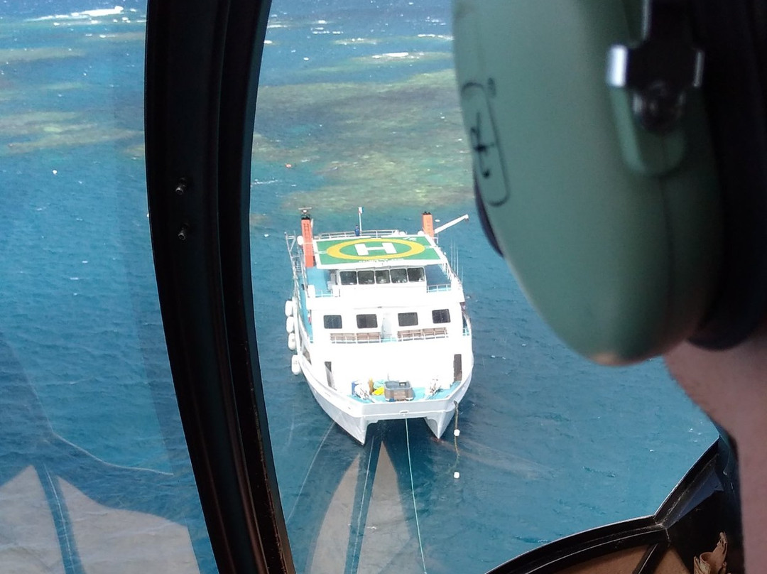 Cairns Visitor Centre景点图片
