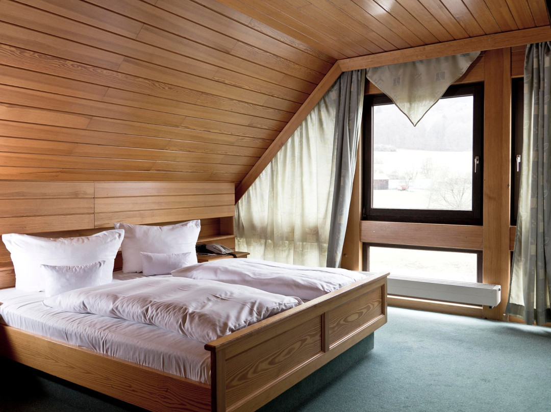 Hotel Kainsbacher Muehle主图